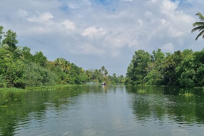 Half Day Village Backwater Eco Country Boat Cruise :Group Tour from Fort Cochin - On the water: what you’ll see during the cruise