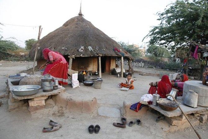 Half Day Village Safari - Key highlights worth your time