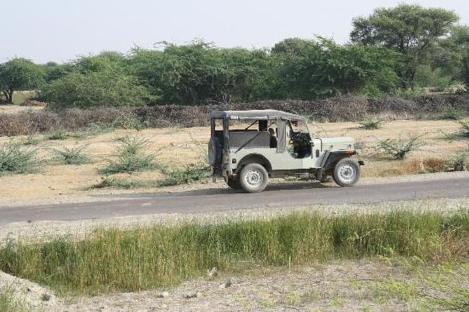 Half Day Village Safari - Life in a Bishnoi village: arts, daily routines, and respectful interaction