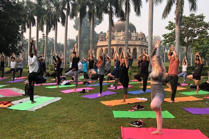 Half Day Yoga Meditation Workshop (6 Hrs) in New Delhi - Lodhi Gardens logistics: meeting point, timing, and outdoor practicality