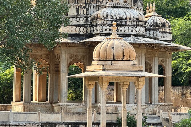 Highlight Tour of Jaipur with Private Guide - Jal Mahal: The Water Palace Photo Stop With a Twist