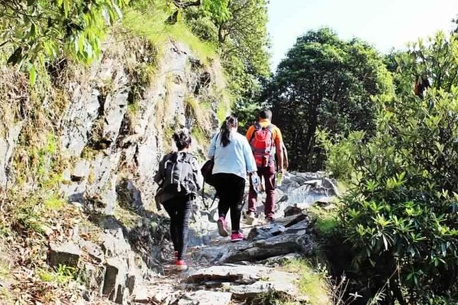 Hiking Day Tour to Triund from Dharamshala - Key takeaways before you hike