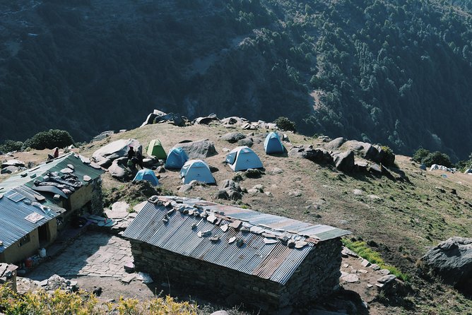 Hiking Day Tour to Triund from Dharamshala - Triund summit time: alpine meadow views and lunch