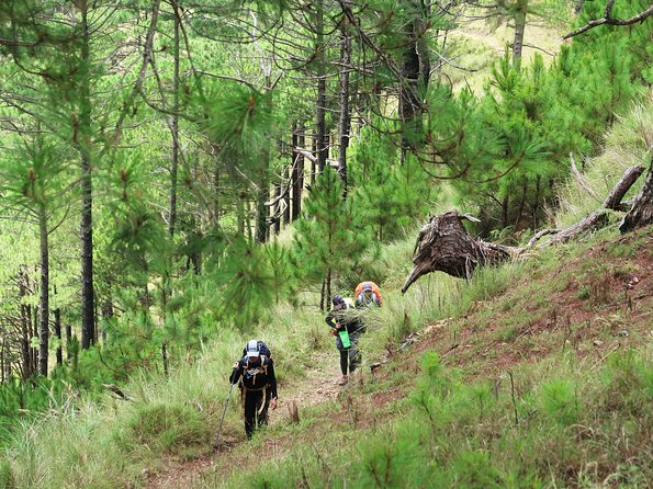 Hiking Day Tour to Triund from Dharamshala - Price and value: what $31 covers, and what might cost extra