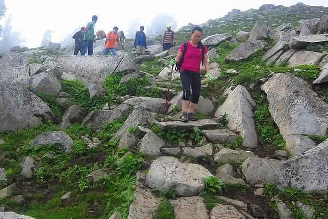 Hiking Day Tour to Triund from Dharamshala - The Climb Through Oak, Rhododendron, and Deodar Forest