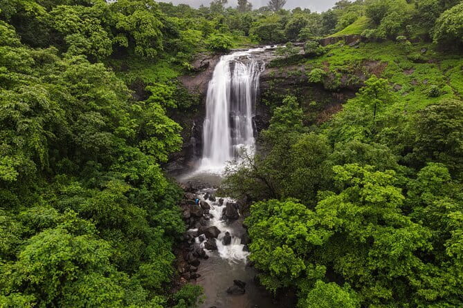 Hill-station & Heritage: Lonavala & Karla Caves Tour from Mumbai - Monkey Point (Travango Hospitality Services): Wildlife That Steals the Show