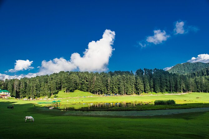 Himachal Tour Package - Key Things I’d Tell Friends Before They Go