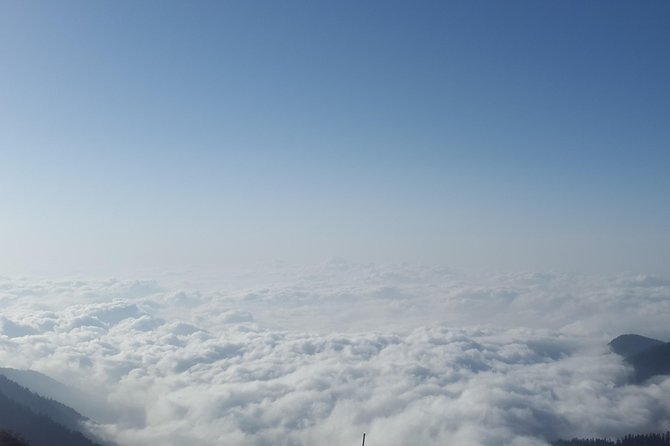 Himachal Tour Package - Shimla Day Tour: Ridge-to-Jakhu Temple and the Mall Road Reality Check