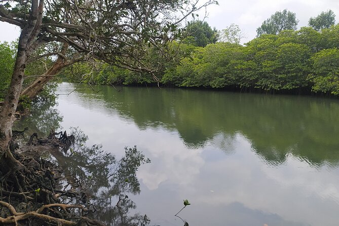 Hinterland Cycling Tour, Havelock - Weather, timing, and how to make the most of 3:00 pm