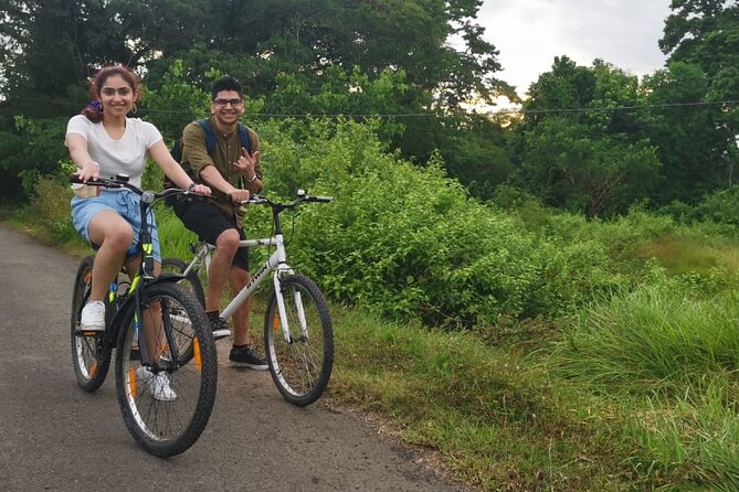 Hinterland Cycling Tour, Havelock - Price and value, at $27.23 per person