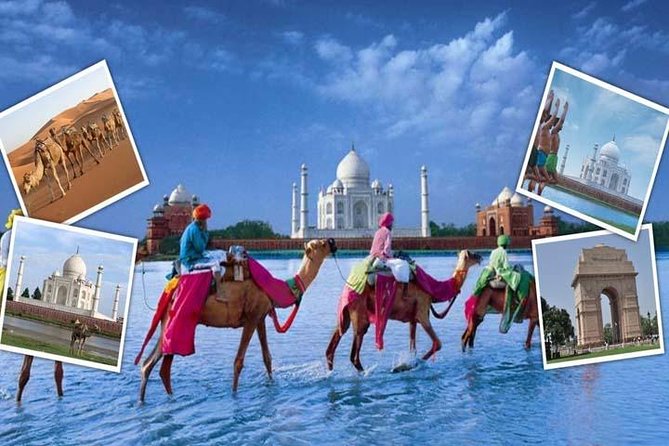 India's Best Seller-Taj Mahal and Agra Fort Tour From Delhi - Lunch, Entrance Fees, and the Real Value of All-Inclusive