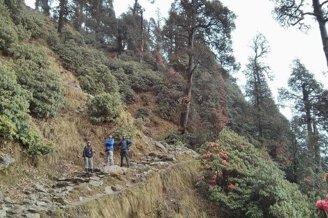 Indrahar Pass Trek with Manu Adventures India - Who Should Book This Trek, and Who Should Skip It