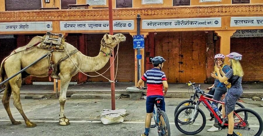 Jaipur: 3-Hour Morning Bike Tour of Jaipur Old City - Laughing yoga, the morning park version