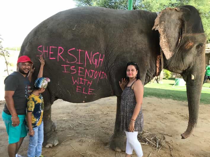 Jaipur: Elephant Interaction Tour - What Makes This Jaipur Elephant Experience Worth 4 Hours