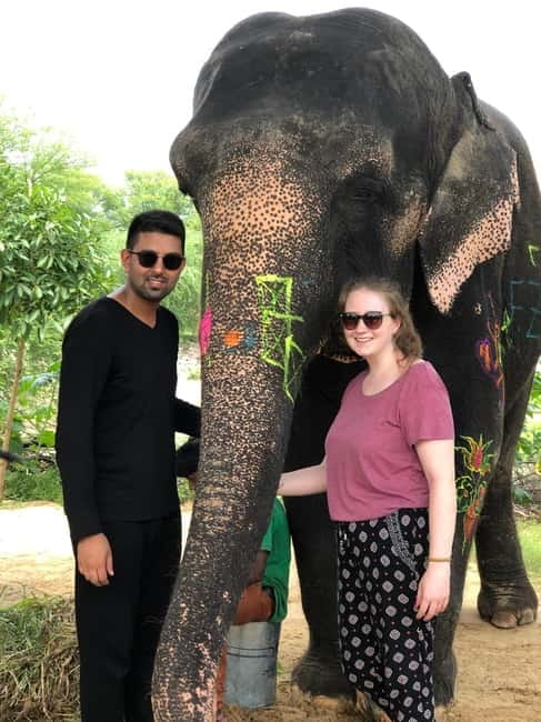 Jaipur: Elephant Interaction Tour - Who Should Book This, and Who Might Not Love It