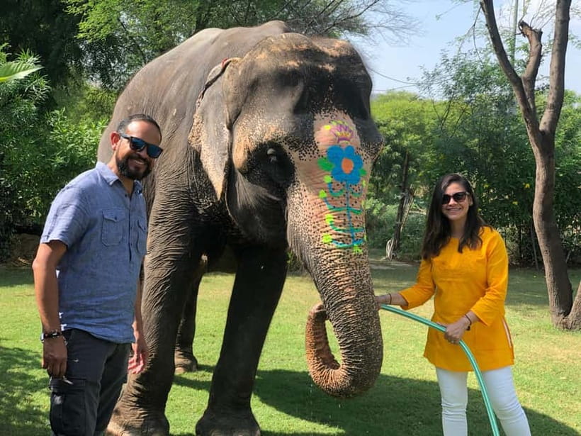 Jaipur: Elephant Interaction Tour - Elephant Village Time: Meeting, Feeding, and Learning Elephant Habits