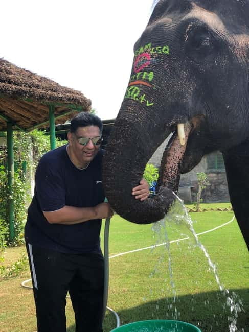 Jaipur: Elephant Interaction Tour - Painting Elephants With Natural Colors, With Safety in Mind