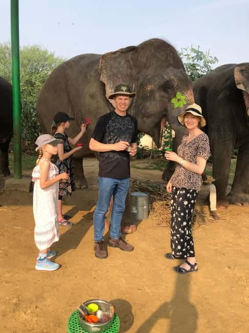 Jaipur: Elephant Interaction Tour - Walking With Elephants in the Village Instead of Riding