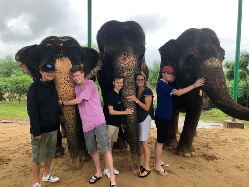 Jaipur: Elephant Interaction Tour - Washing and Shower Time, and Why You Won’t Enter the Lake