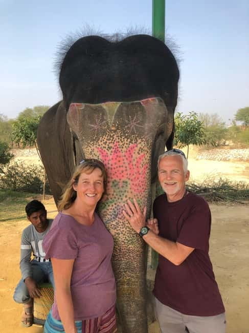 Jaipur: Elephant Interaction Tour - Pickup and Private Transport, So You Actually Start Relaxed