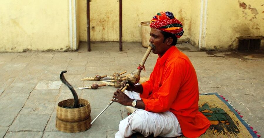 Jaipur: Full-Day Private City Tour by Car with Guide - City Palace: Royal Courtyards, Museum Rooms, and What to Look For
