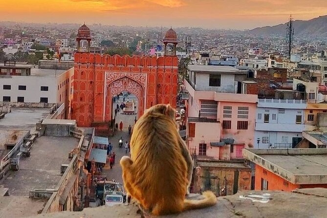 Jaipur Full Day Tour By Car And Guide With Hotel Pickup - Amer (Amber Fort area): the start point that sets the tone