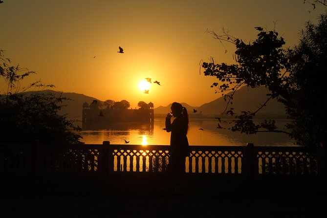 Jaipur Guided City Tour: City Palace, Jantar, Hawa & Jal Mahal - Jal Mahal on Man Sagar Lake: calm contrast and a quick look