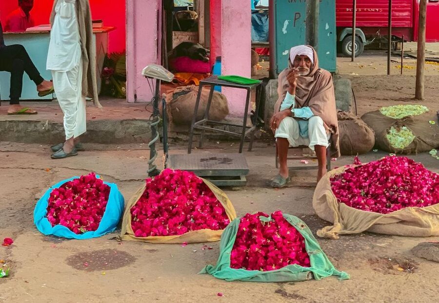Jaipur: Half-Day Guided Sightseeing Tour with Flower Market - 7:00 AM flower market: the senses, the pace, and the photo timing
