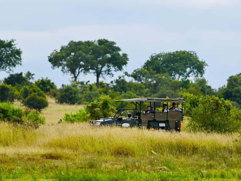 Jaipur: Jhalana Amagarh Leopard Reserve 4×4 Jeep Safari - Jhalana Amagarh: Jaipur’s leopard reserve at the edge of the Aravallis