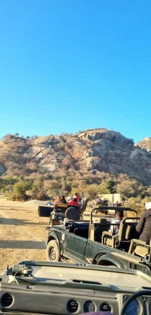 Jaipur: Jhalana Amagarh Leopard Reserve 4×4 Jeep Safari - Extra stop options: Monkey Temple and the Elephant Village Park add-on