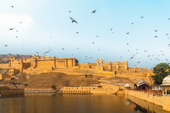 Jaipur Pink City Private Day Trip from Delhi with transfer - Price and Logistics: What $80 Gets You (and What It Doesn’t)