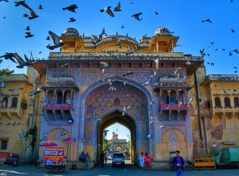 Jaipur: Private Evening Tour with Monkey Temple Sunset - A Late-Afternoon Loop That Actually Works in Jaipur