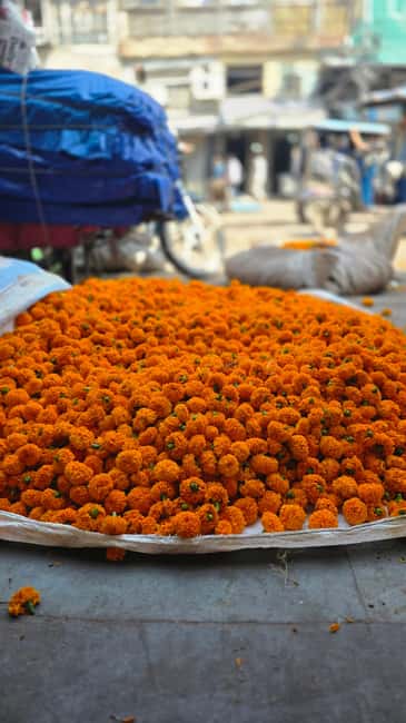 Jaipur: Private Guided Half Day & Full Day Tour in Jaipur - Hawa Mahal: 953 windows, and the trick to enjoying it without rushing