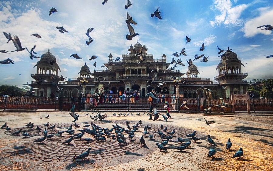 Jaipur: Private Tour for Instagram and Photography Lovers - A photo-first run through Jaipur’s biggest Instagram landmarks