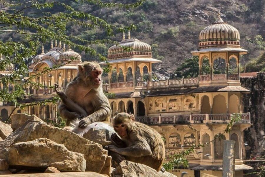 Jaipur sightseeing tour with monkey temple (Galta ji temple) - Hawa Mahal: the famous facade and what it was for