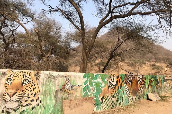 Jaipur to Jhalana Leopard reserve Private Day Trip All Inclusive - Your 2.5 hours in the reserve, split into safari drives