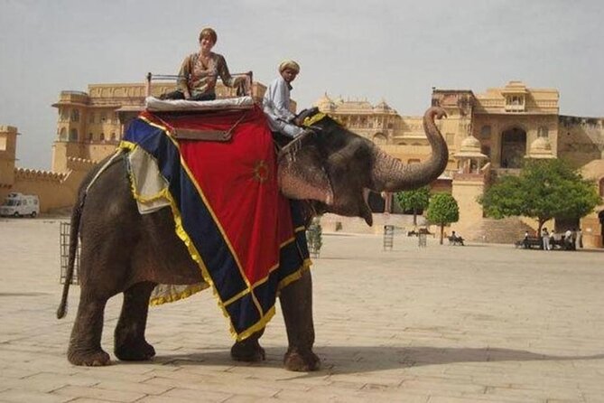 Jaipur Tour Pink City by Car From Delhi All Inclusive - Stop 5: Jal Mahal, the Water Palace on Man Sagar Lake