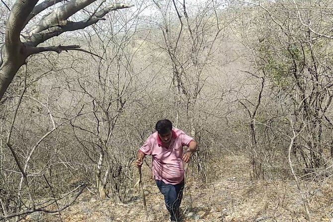 Jaipur Trekking and Hiking Tour with Guide - Included essentials, plus what you’ll need to pay separately