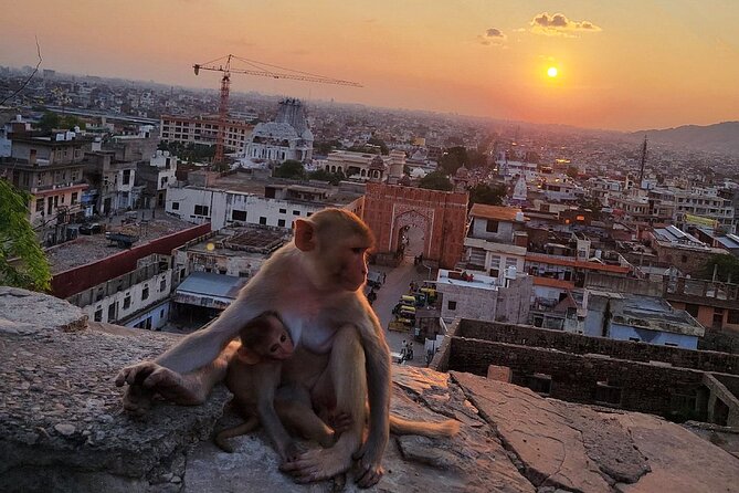 Jaipur Tuk Tuk Sightseeing Tour with Monkey Temple Sunset View - Jantar Mantar: an observatory that still works