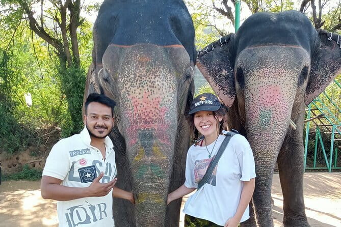 Jaipur Tuktuk Local Sightseeing Day Tour - Timing the Day: How 8 Hours Feels on the Ground
