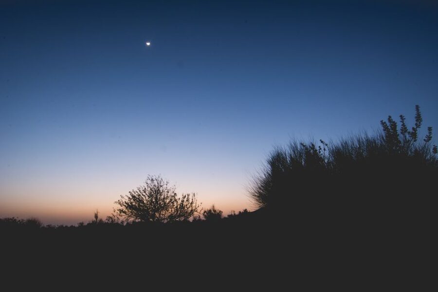 Jaisalmer: 2-Day Thar Desert Experience - Key highlights at a glance