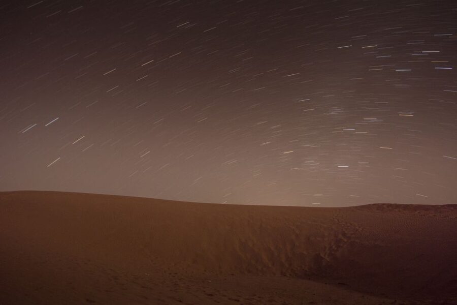 Jaisalmer: 2-Day Thar Desert Experience - Desert National Park: camel time with space to breathe