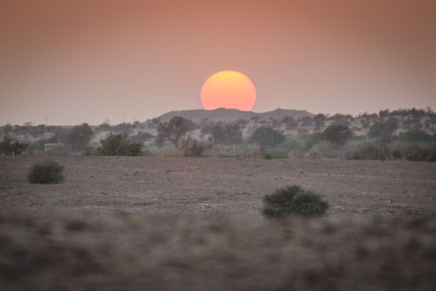 Jaisalmer: 2-Day Thar Desert Experience - Day Two: sunrise tea, breakfast, and a last camel ride