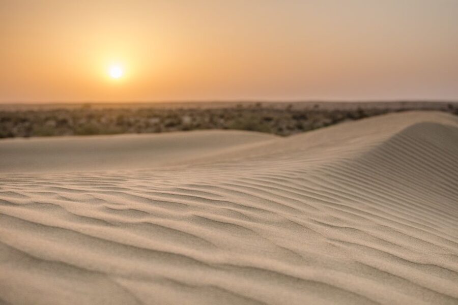 Jaisalmer: 2-Day Thar Desert Experience - Price and value: what you really get for about $9