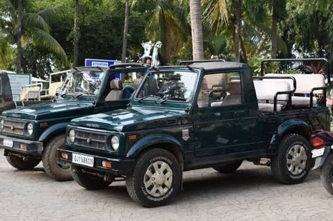 Jeep Safari: A Skip the line access to Devalia Safari Park India - Getting To Devalia Safari Park: Simple, But You Must Plan