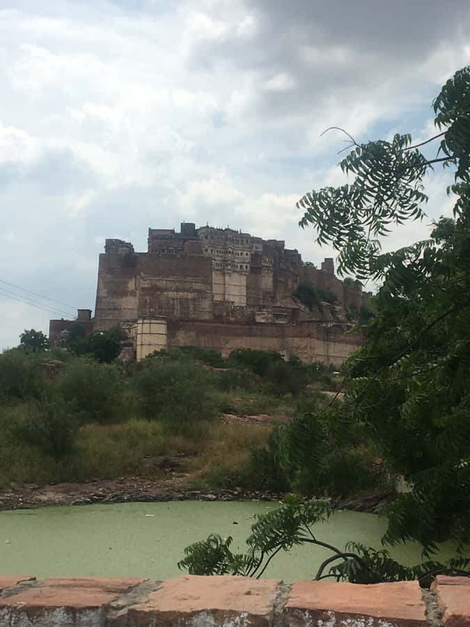 jodhpur blue city walking tour with guide - Price and logistics: why $11 can still feel like a smart splurge