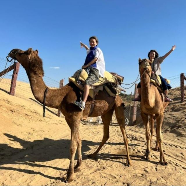 Jodhpur: Desert Camel and Jeep Safari with Traditional Food - A desert day that feels human, not packaged