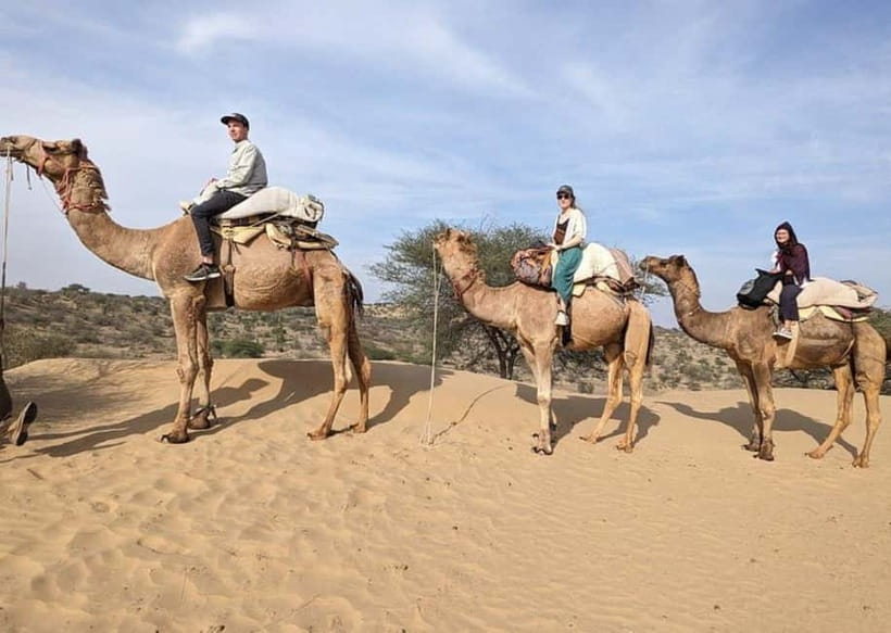 Jodhpur: Overnight Stay in Desert with Camel Safari - Vegetarian Fire-Cooked Meals and Marwari Comfort After Dark