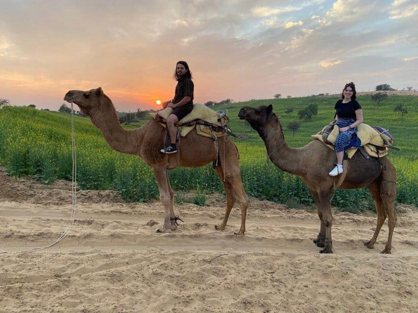 Jodhpur: Overnight Stay in Desert with Camel Safari - Price and Value: Why $35 Can Work Here