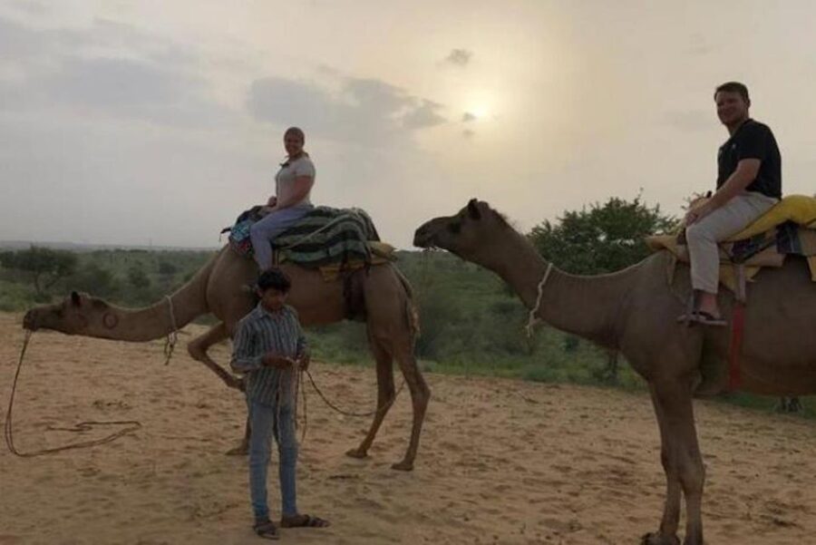 Jodhpur: Overnight Stay in Desert with Camel Safari - Practical Tips That Make the Night Easier